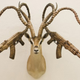 Illustration for article titled Gun Antlers, Salmon Sickness, and Other Stories We Didn't Post